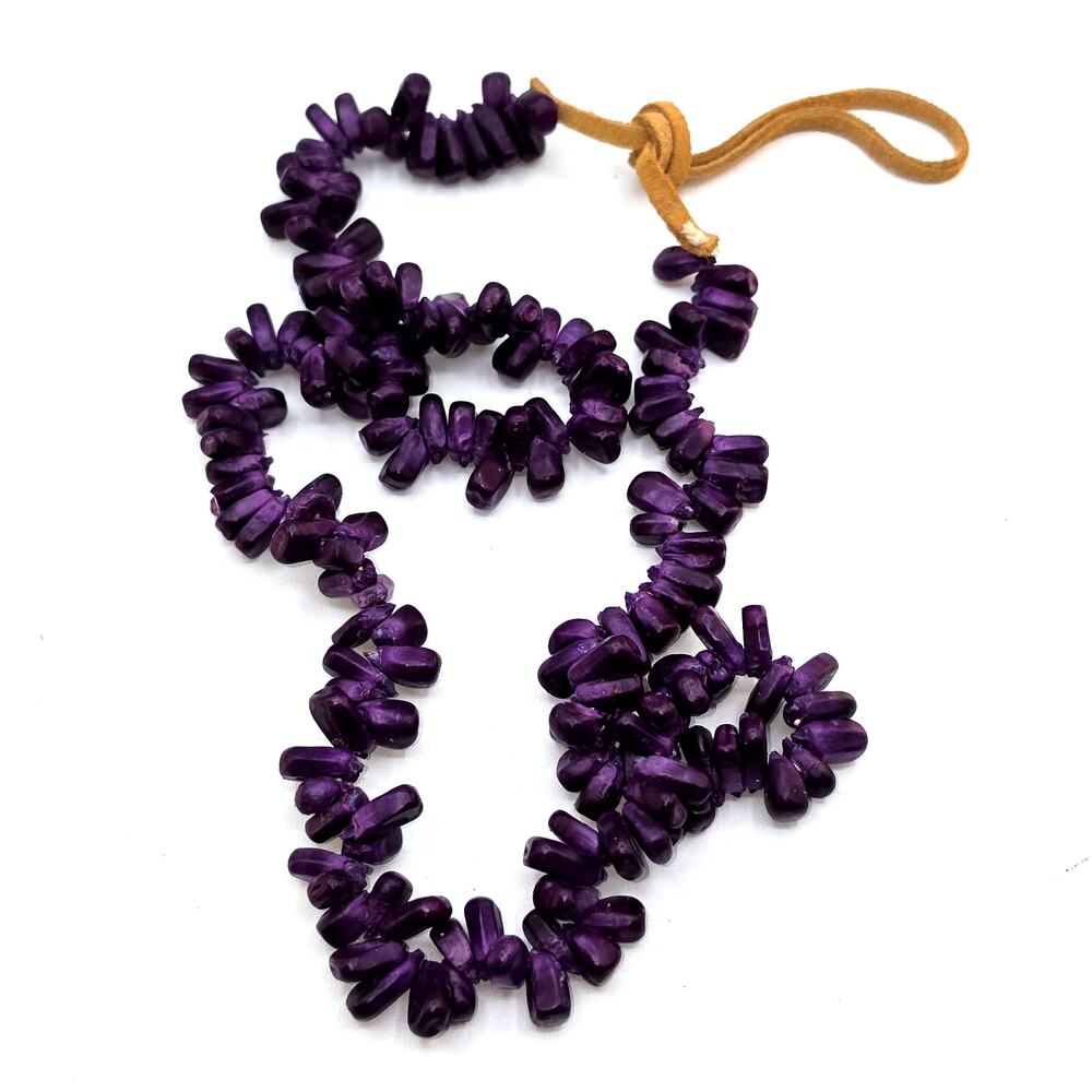 Native American Purple Indian Corn Maize Seed Choker Necklace Suede Tie Vintage